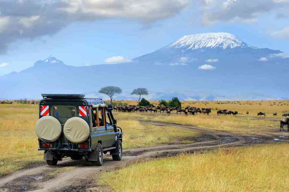 Narok